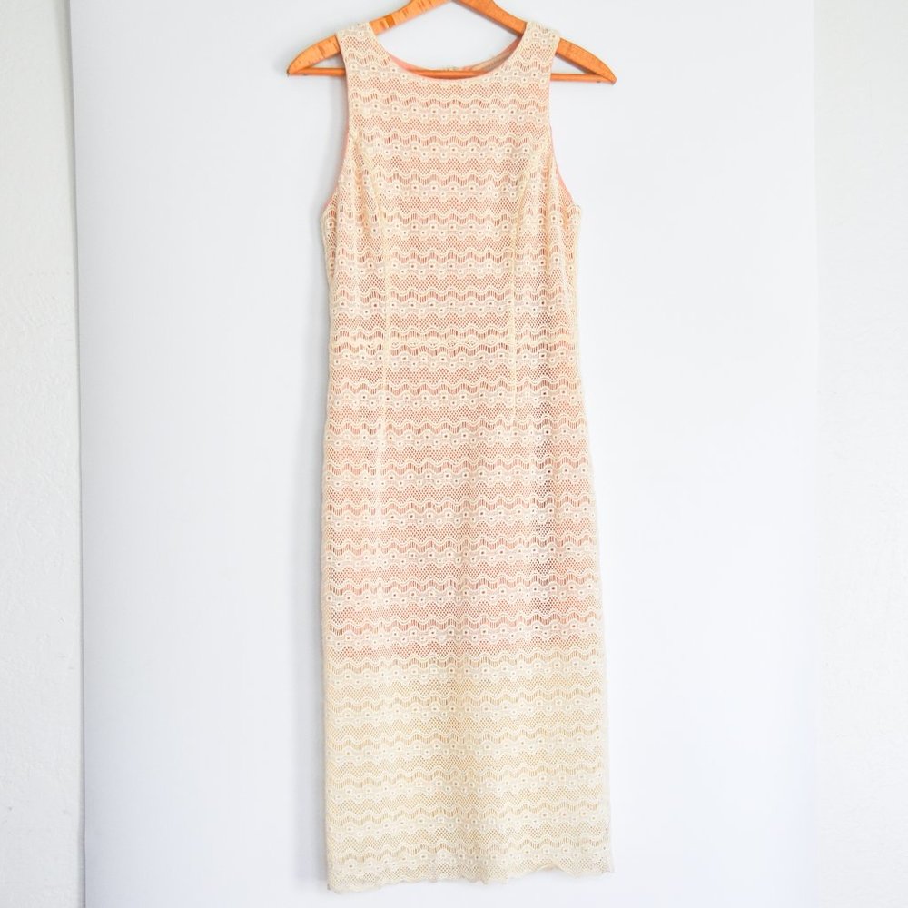 Anthropologie Lace Dress Bodycon Fitted Sleeveless Champagne and Strawberry midi